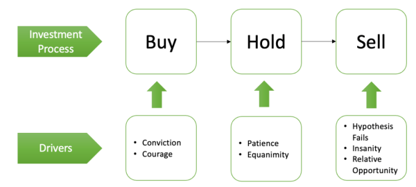 investment process and driver